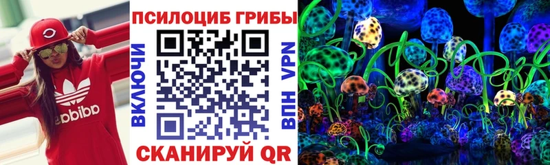 магазин продажи   Яхрома  Галлюциногенные грибы Magic Shrooms 